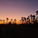 Bosque Estrellado