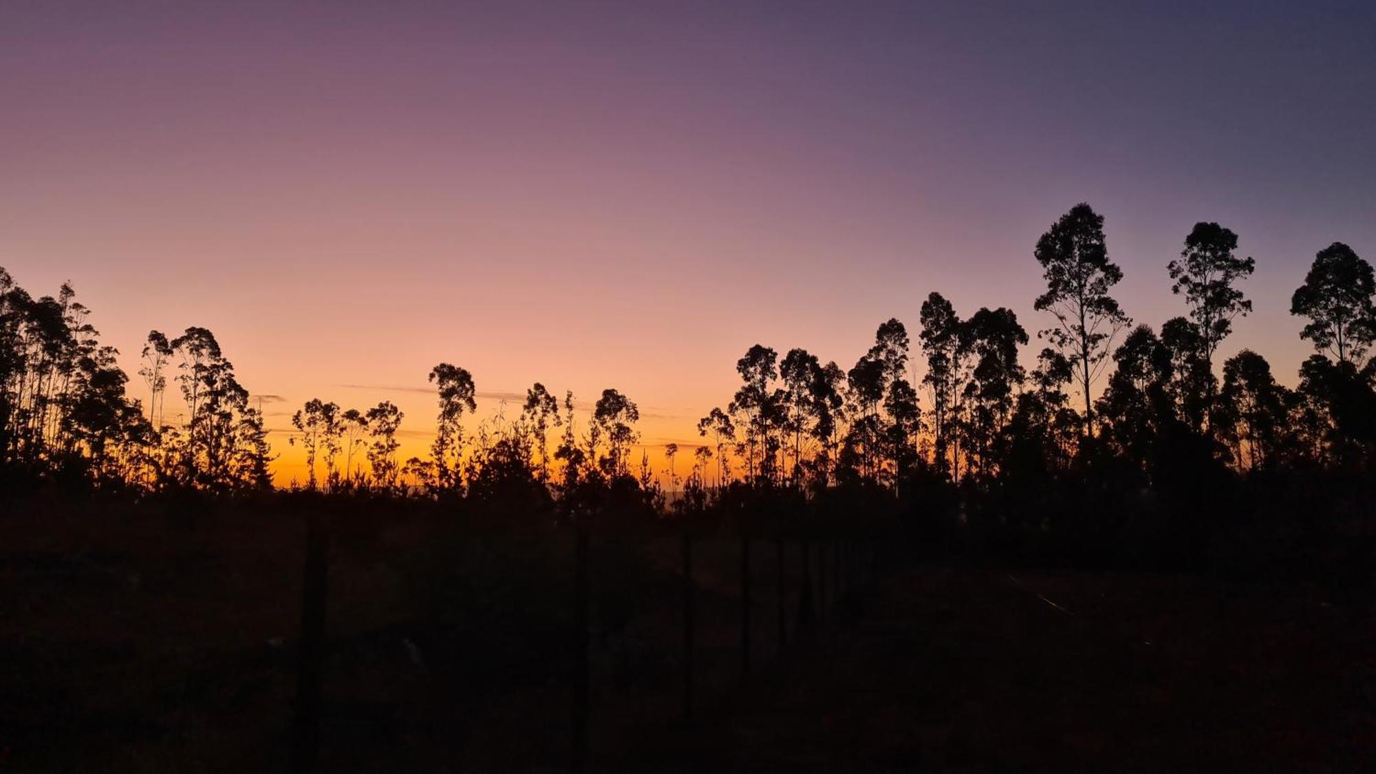 Bosque Estrellado Casa de férias *