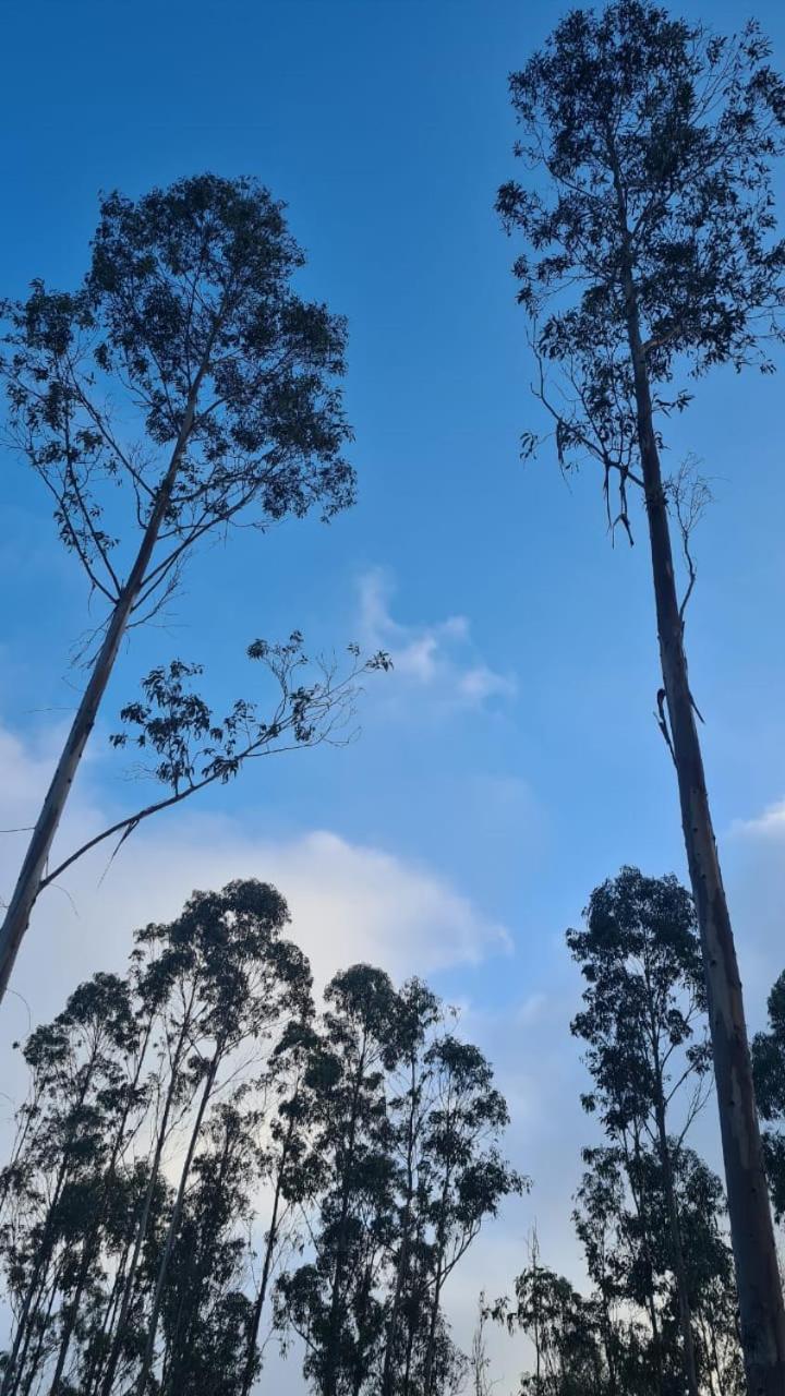 Casa de férias Bosque Estrellado